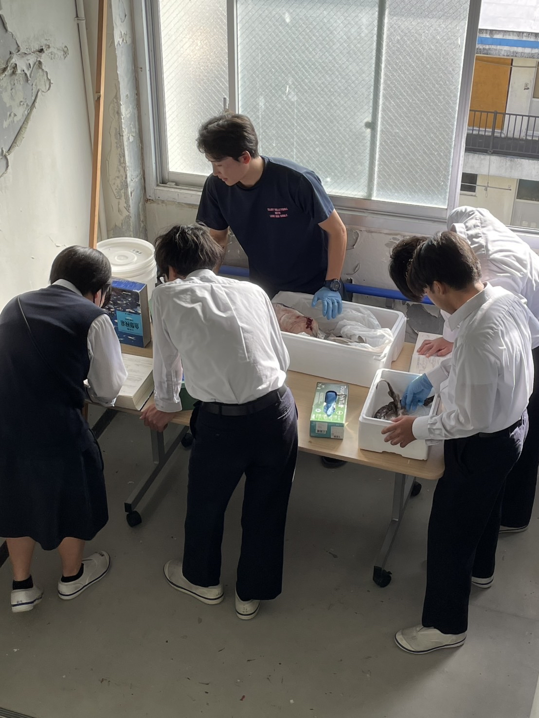 Image - 2025-12-01T173110.914